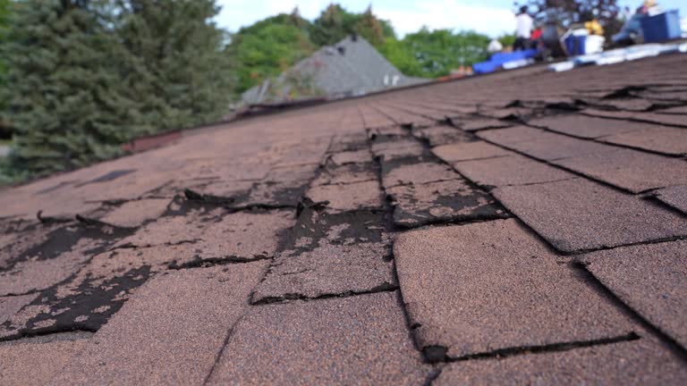 Best Tile Roofing Installation  in Collinsvle, IL