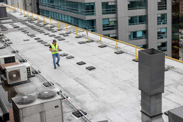 Best Asphalt Shingle Roofing  in Collinsvle, IL