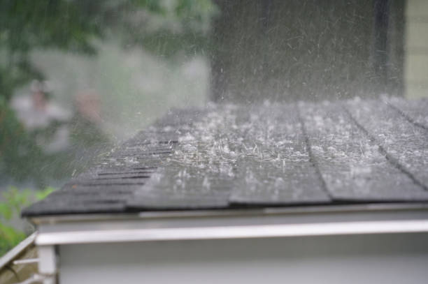 Best Cold Roofs  in Collinsvle, IL