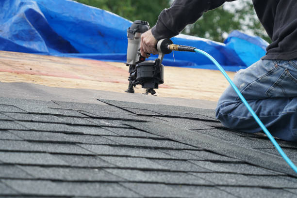 Best Roof Coating and Sealing  in Collinsvle, IL
